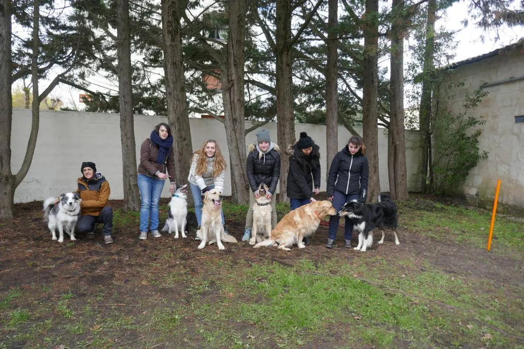 groupe de formé au métier d'eduacteur canin comportmentaliste la teste