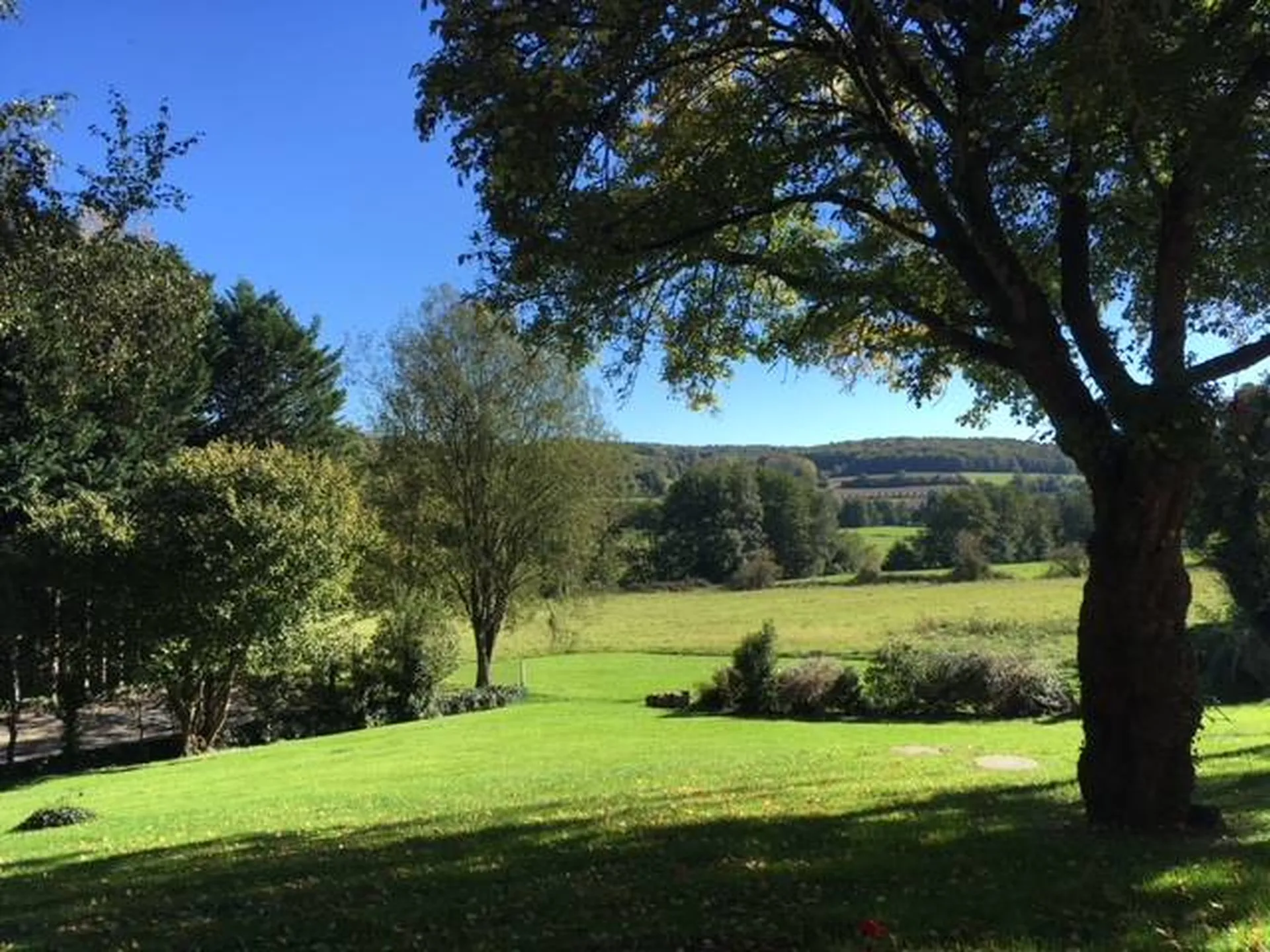 Paysage du Pays d'Auge