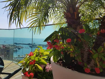 Pot fleuri sur blacon en principauté de Monaco