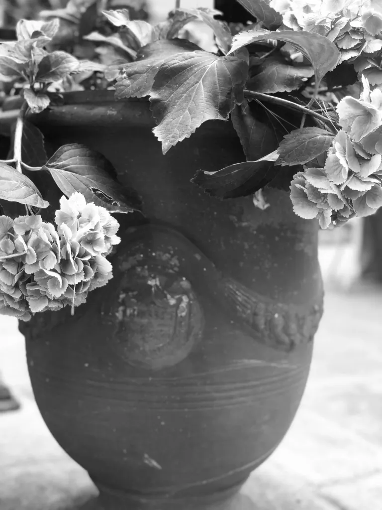 Un merveilleux vase d'Anduze patiné par le temps