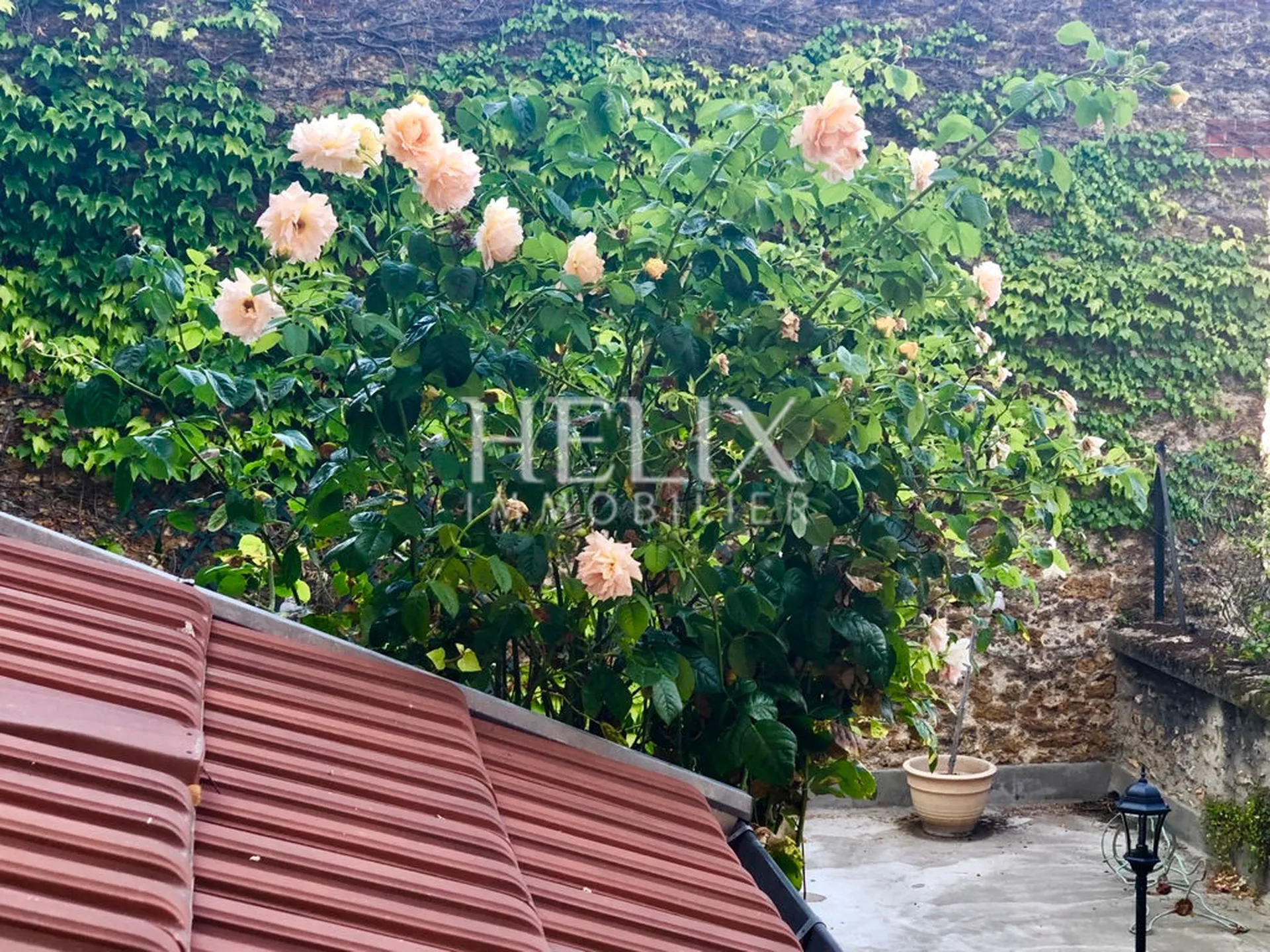 Magnifique maison 167 M2 Le Pecq 