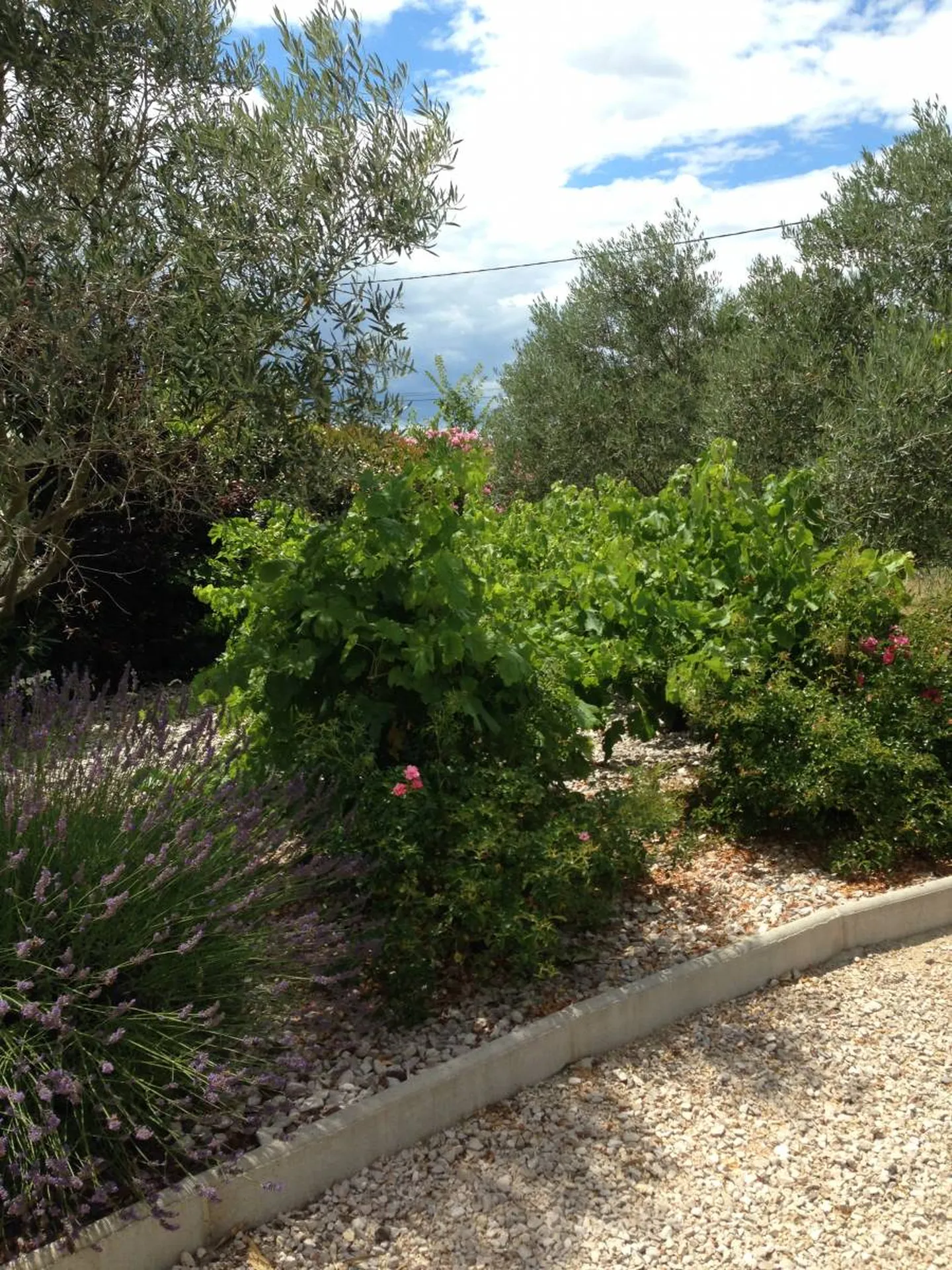 Réalisation des bordures chez un particulier 