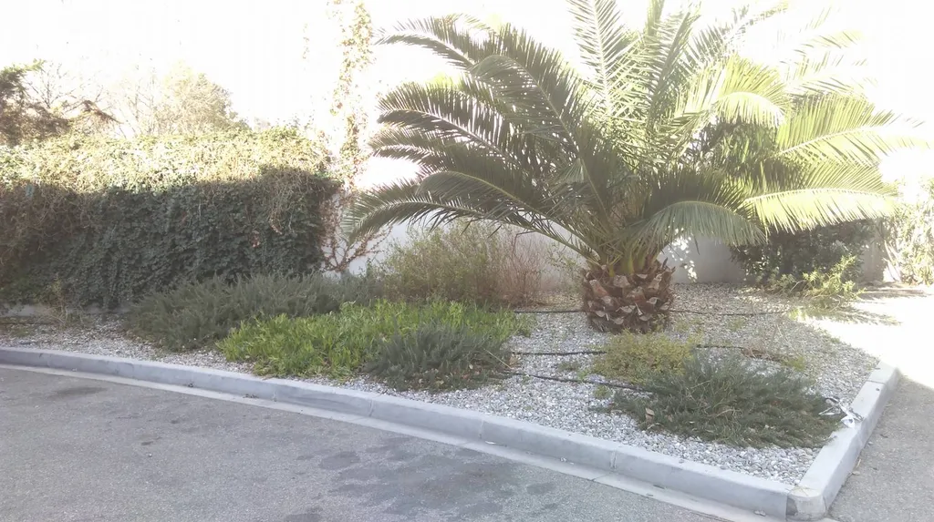 Création et Aménagements de Jardins pour les Entreprises sur Marseille