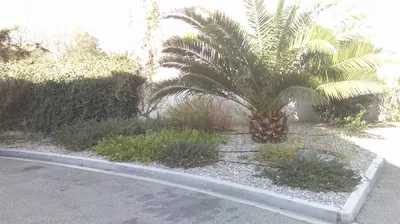 Création et Aménagements de Jardins pour les Entreprises sur Marseille