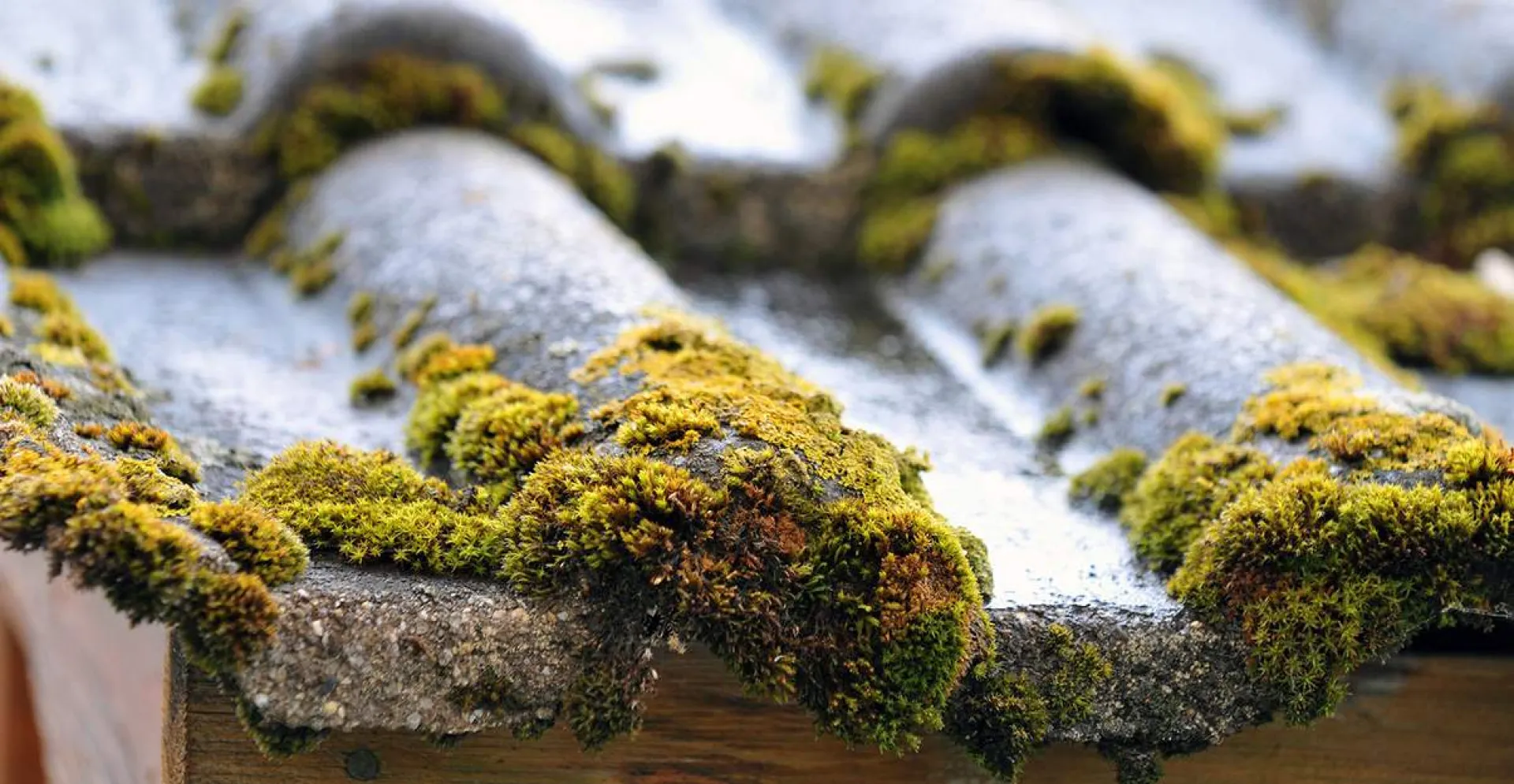 Nettoyage et démoussage de toiture à Libourne : la méthode professionnelle d’Aquitaine Énergie