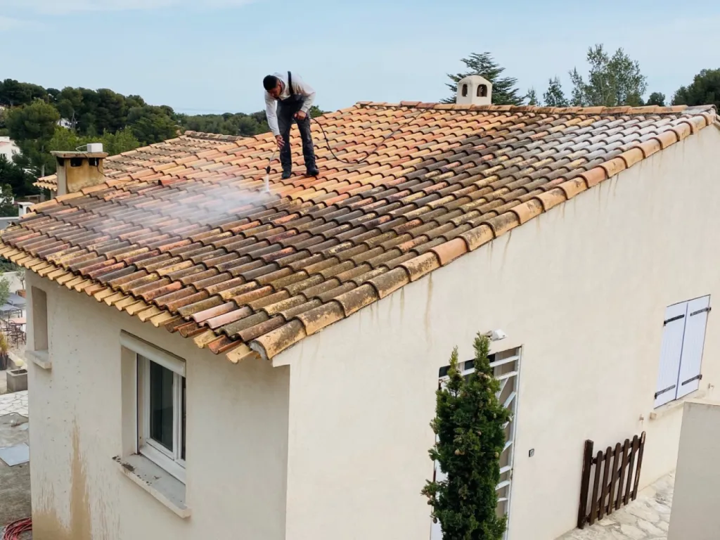 nettoyage toiture sur carry le rouet en cours