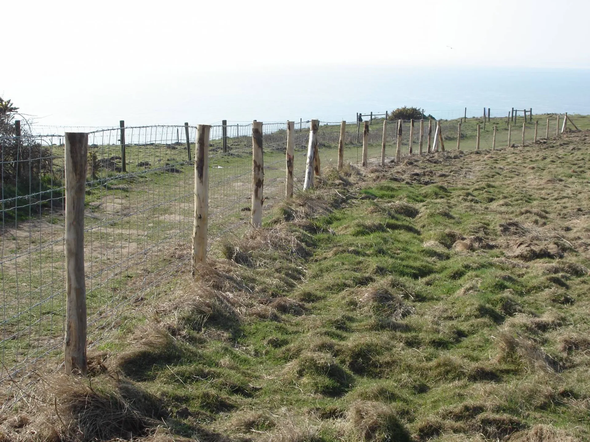 Ralisation d'une clôture de protection de golf à Etretat 7676