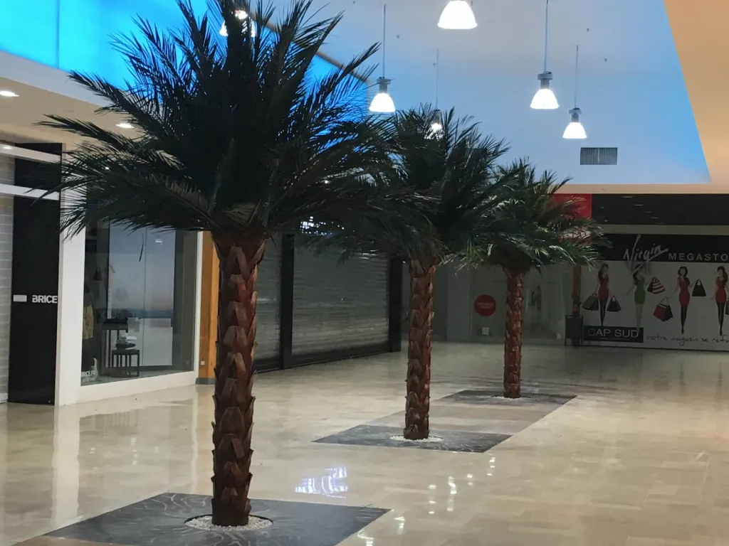 Plantation de palmiers stabilisés en galerie marchande sur Avignon