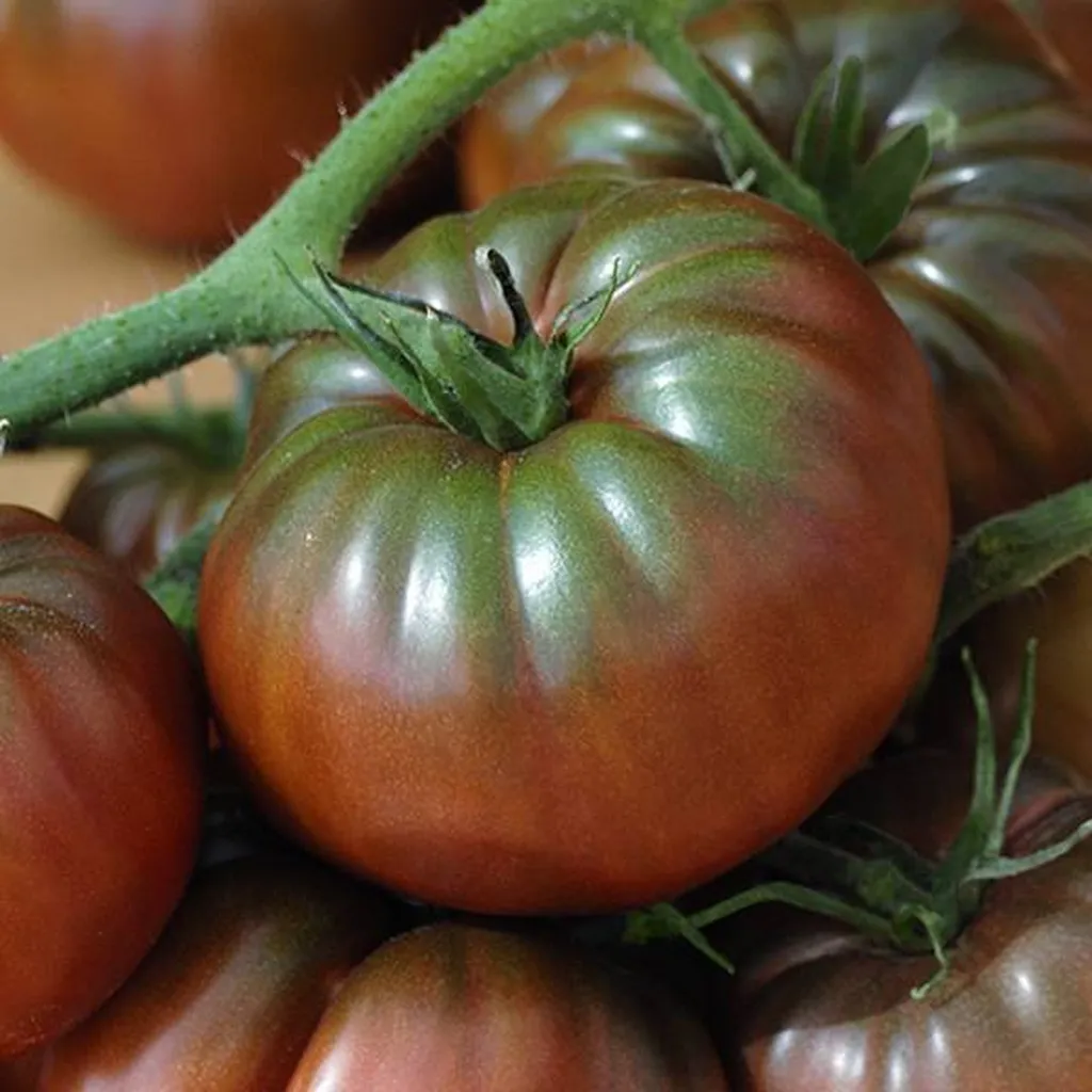 Livraison de Tomates Noires de Crimée en point relais à Marseille