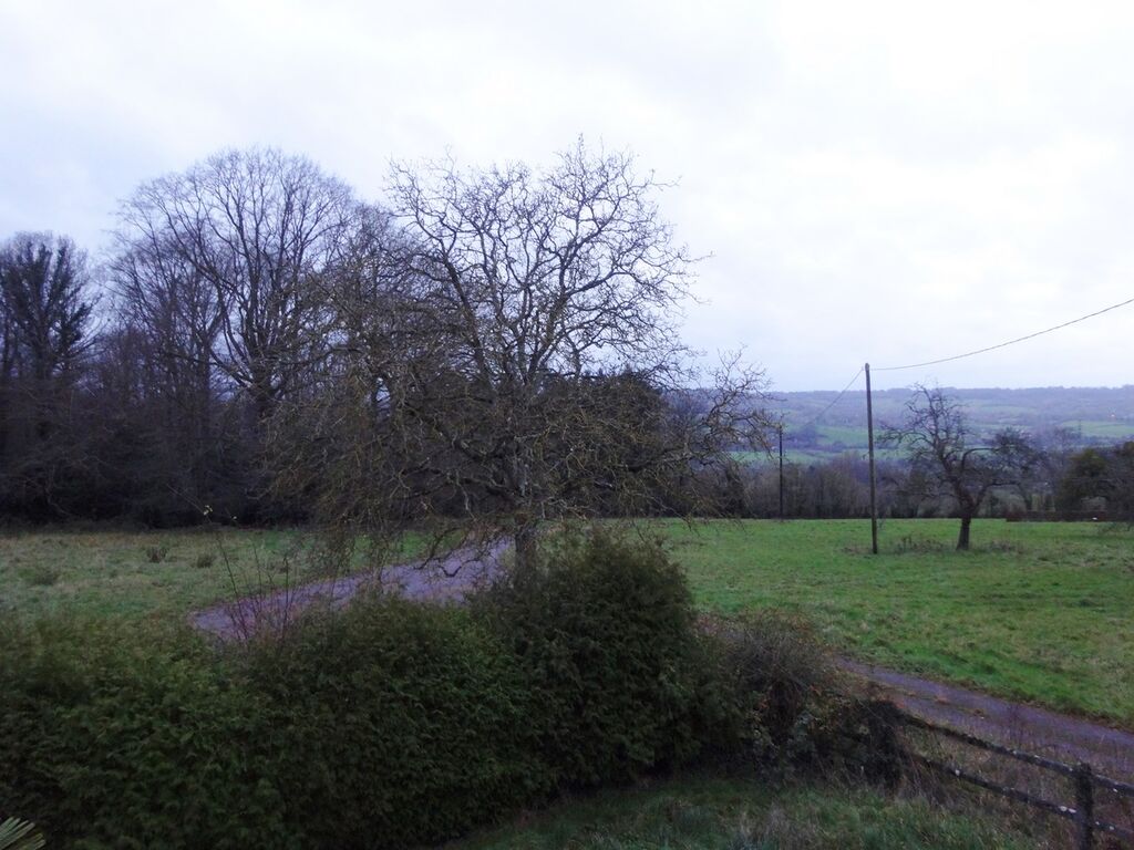 Chevaux Normandie 14