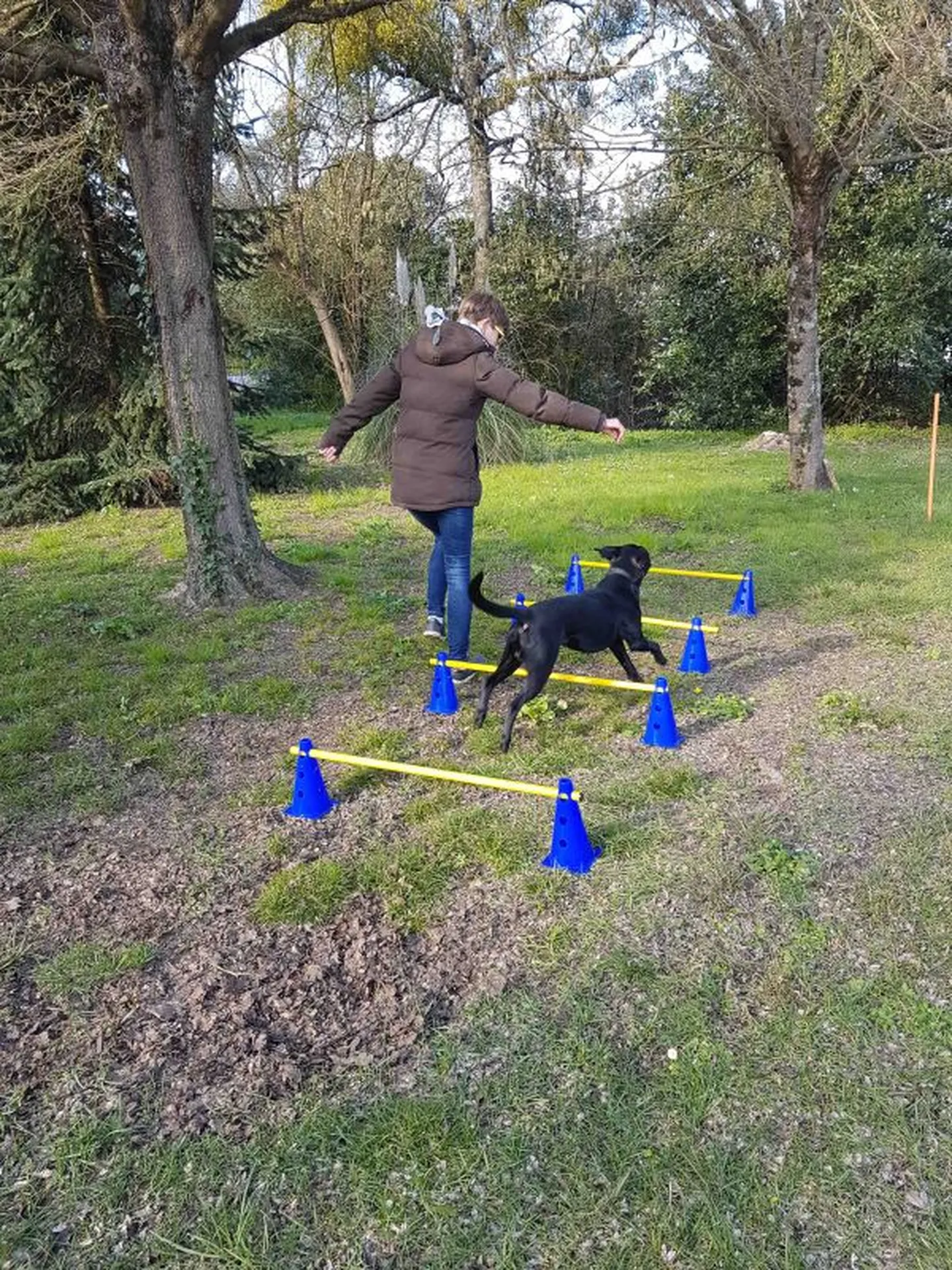 Agility Pessac