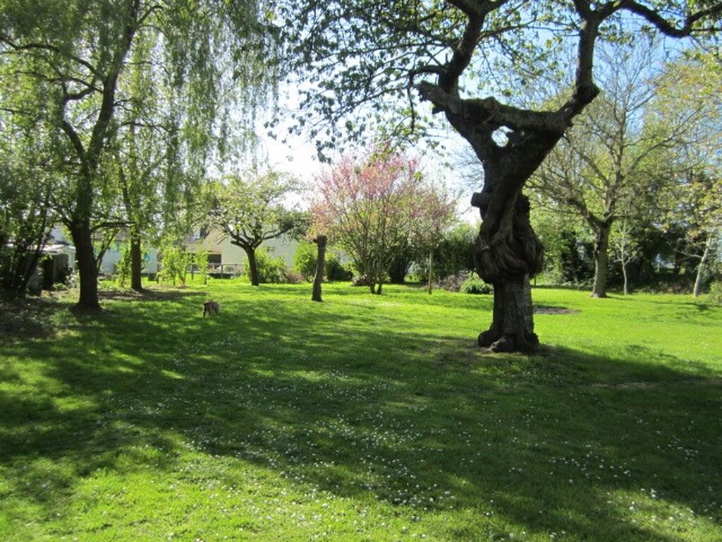 Acquisition Maison en briques avec jardin clos