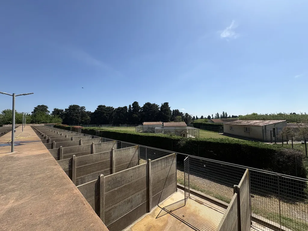 HÔTELLERIE CANINE, Hébergement pour chien, au Chenil Cany Express, situé à Avignon en région PACA.