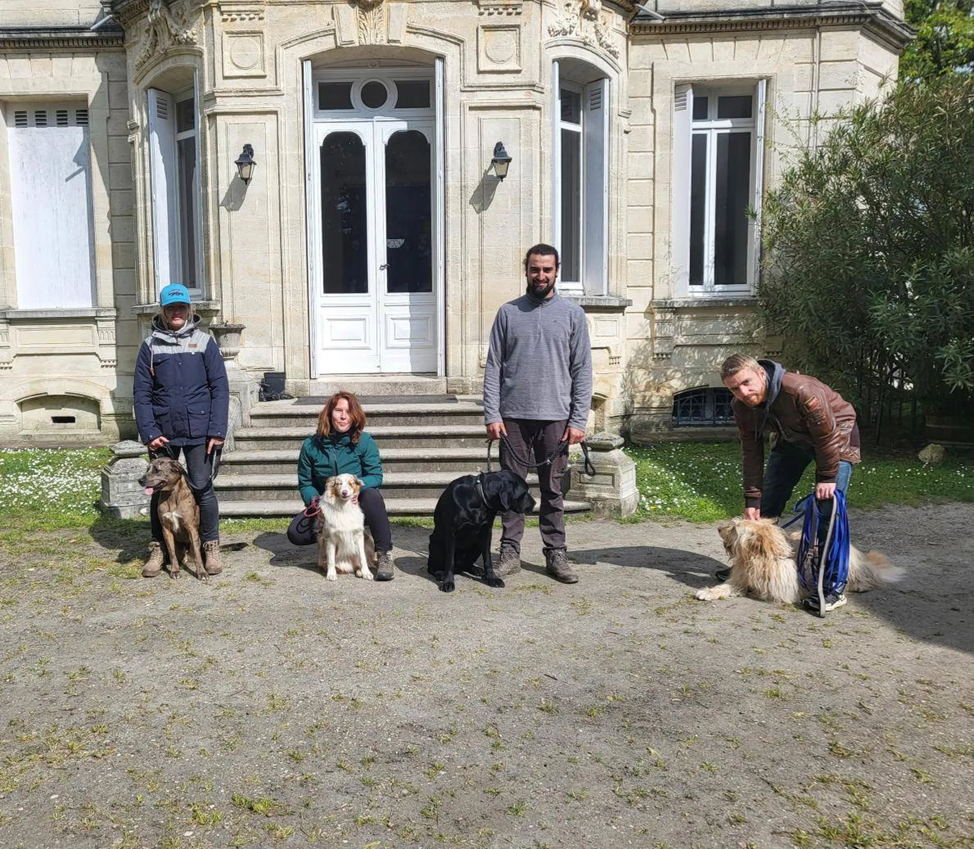 se former au métier de comportementaliste canin et educateur sur le bassin d'arcachon