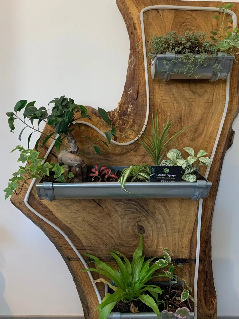 Pièces décoratives naturelles pour vos maisons dans les Landes