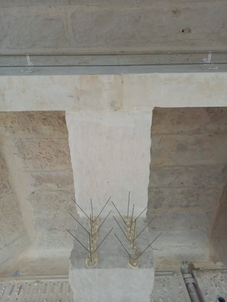 pic anti pigeon arles 13