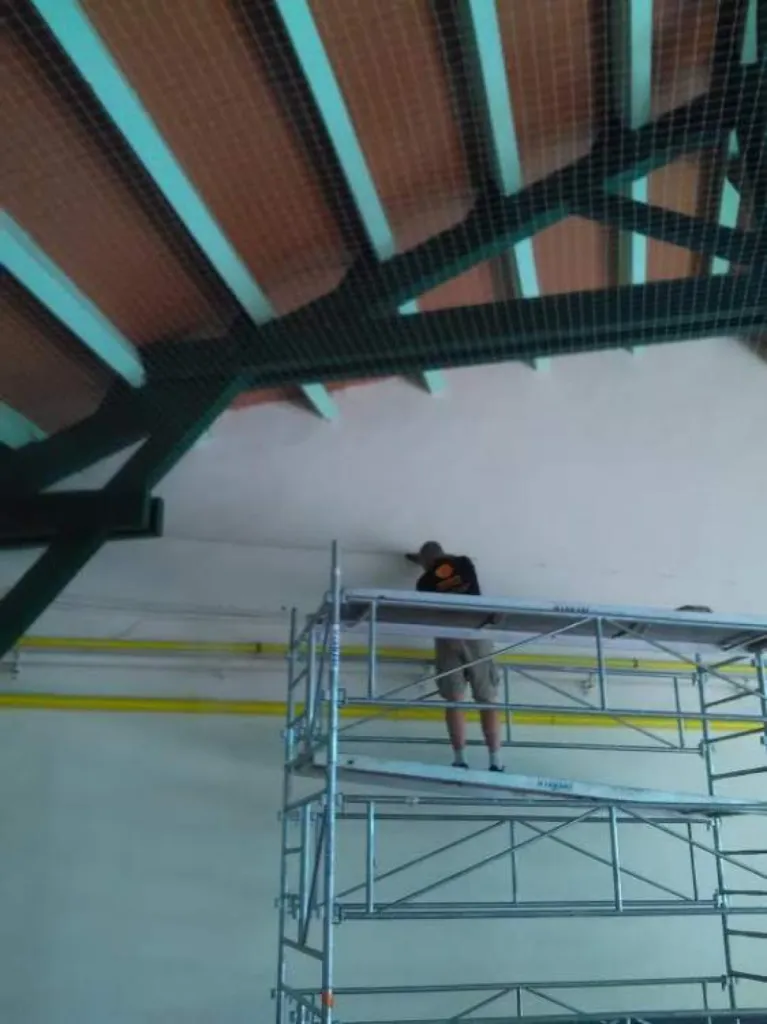 filet anti pigeon école Aubagne 13400
