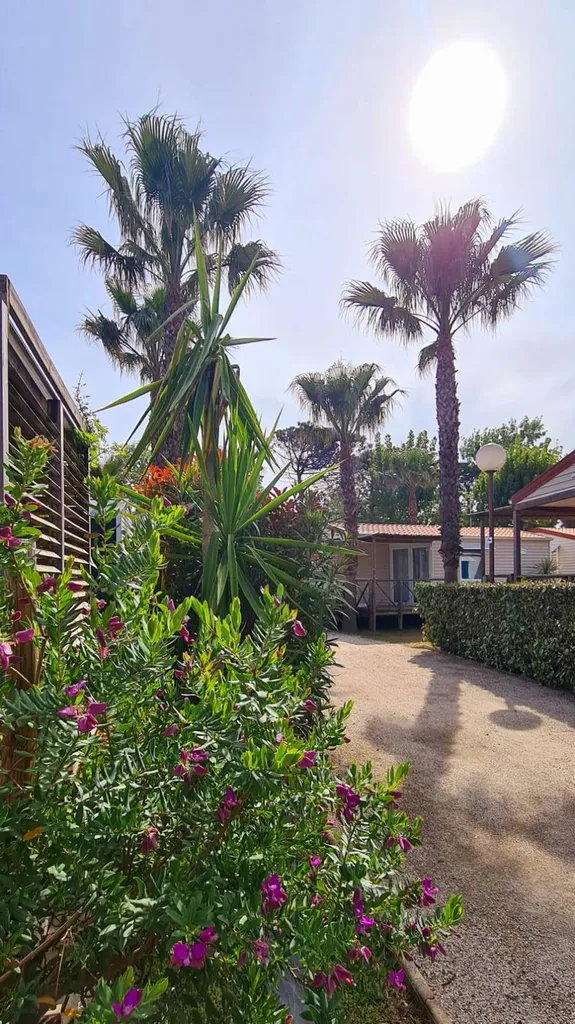Camping familial à 150m de la plage de Vias Plage