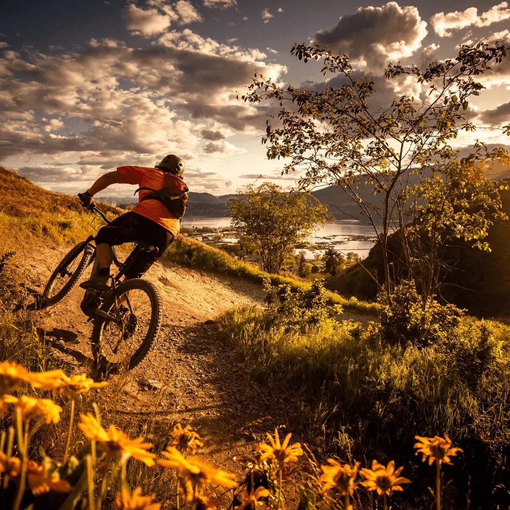 réserver une activité VTT lors d'un séjour dans un domaine provençal près de Manosque