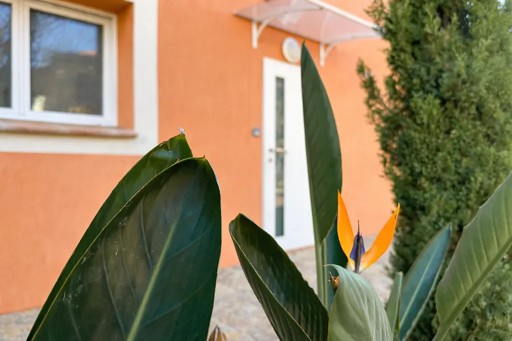 Estimation et mise en vente d’un appartement 3 pièces avec jardin privatif à Six-Fours-les-Plages dans le Var