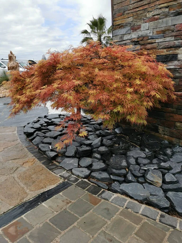 PAILLETTES ARDOISE NOIRE