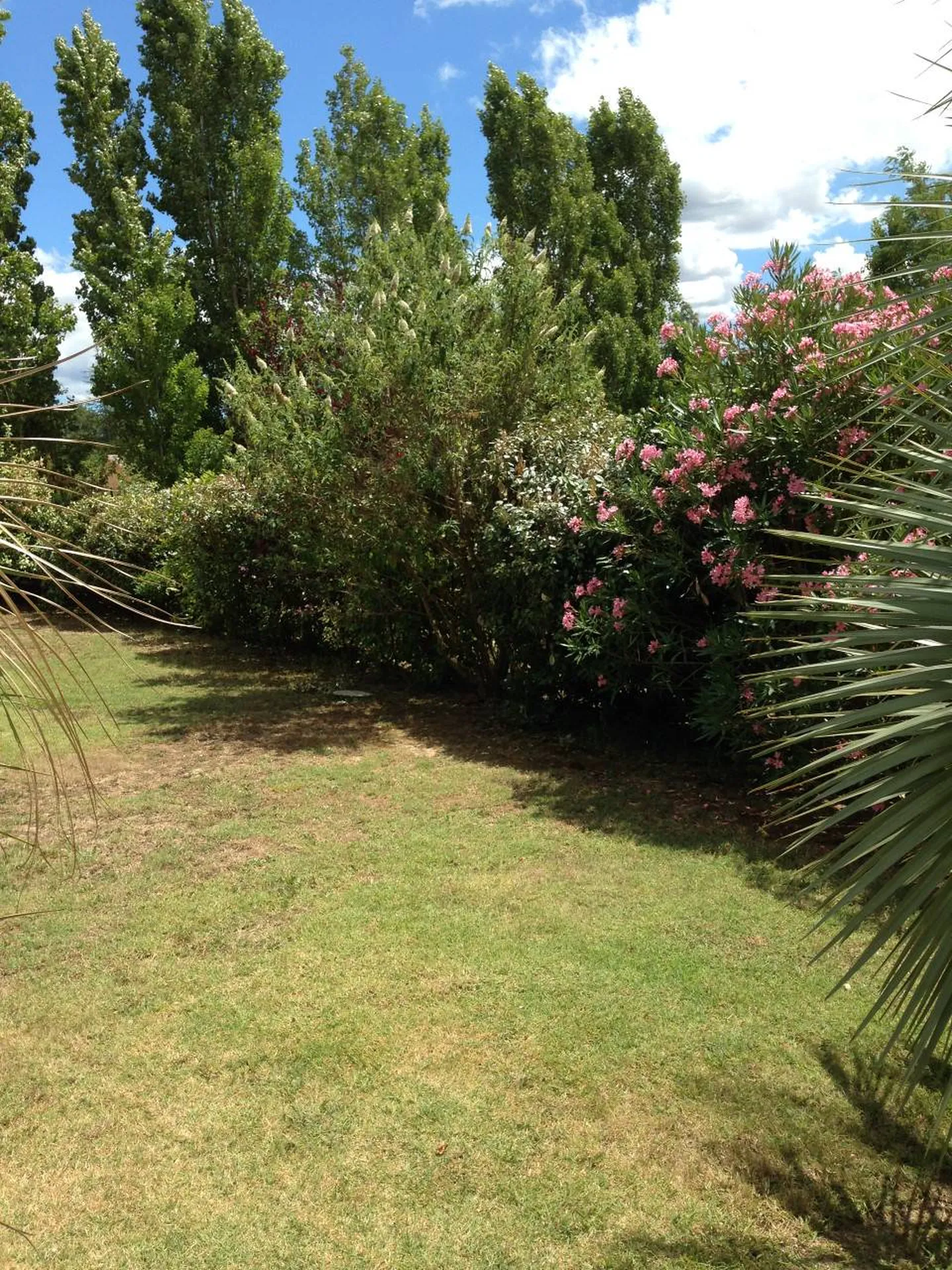 Création du jardin d'une villa près de Cabriès