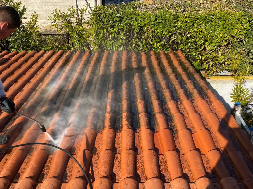 Nettoyage tuiles sur venelles