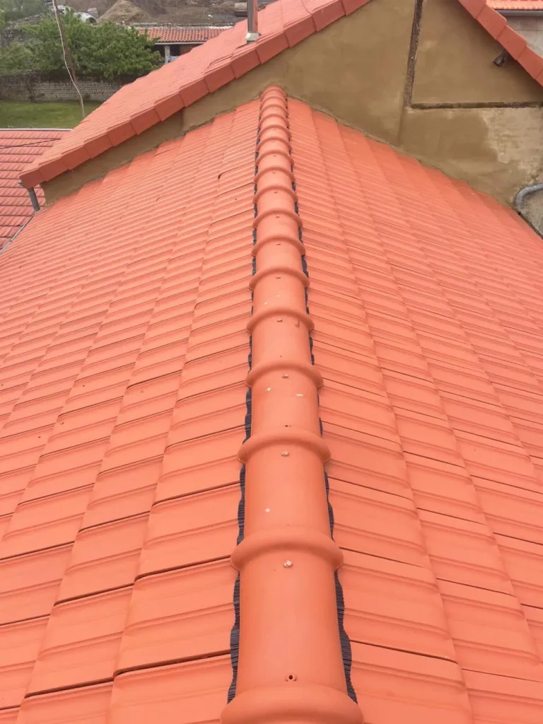 Après la réfection de la toiture Landaise à Dax, dans les Landes (40)