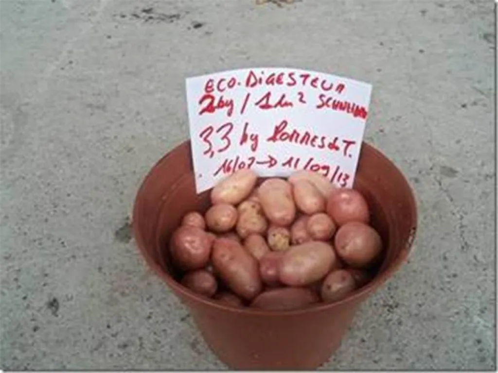 L'eco-digesteur produit un compost qui donne de meilleurs résultats qu'un engrais industriel