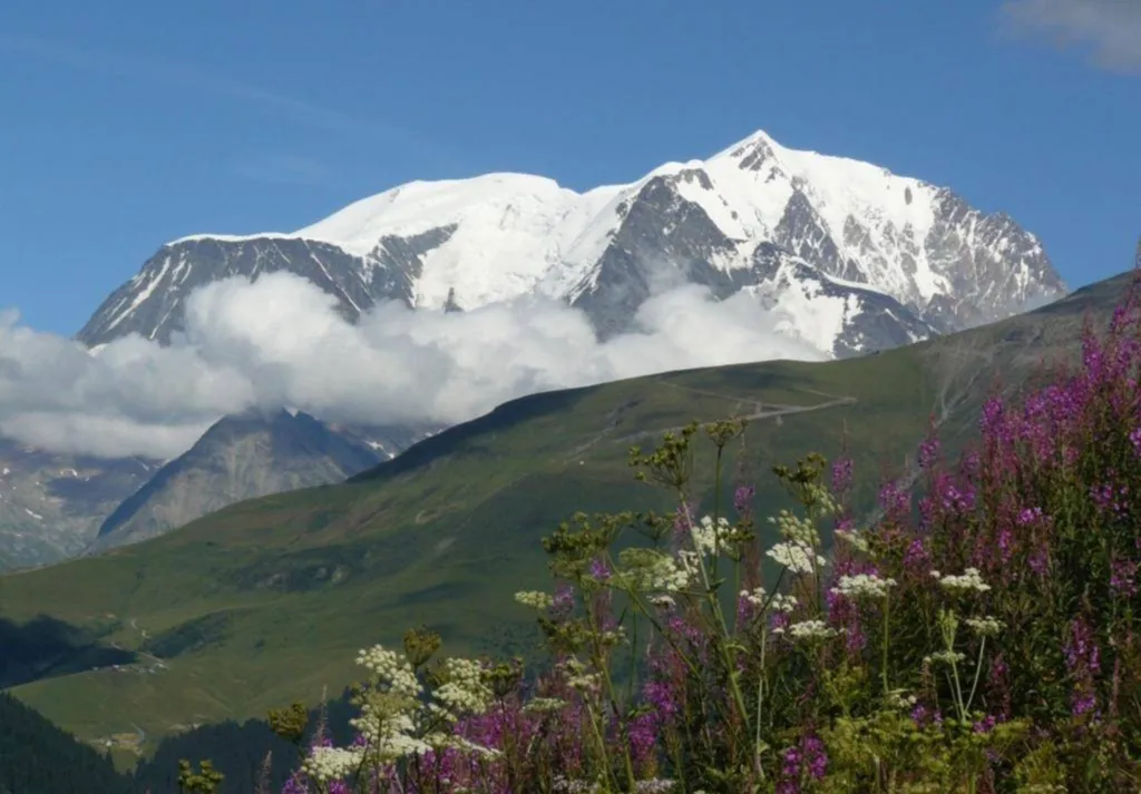5 chalets en pleine nature avec appartements allant du T1 au T6 à Megève près de Chamonix-Mont-Blanc