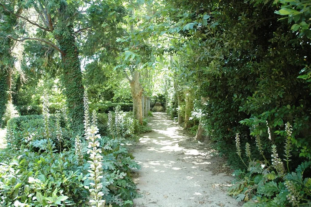 Avignon, propriété exceptionnelle proche des remparts.