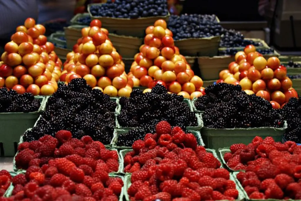 Fournisseur caisse enregistreuse pour marché de fruits et légumes dans le Var avec Commercill ™️