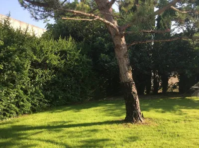 Semis d'un gazon et implantation d'un arrosage automatique dans un hôtel du Lubéron