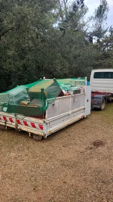 Location de benne DIB de 7m3 à Vidauban pour mélanges de bois et métaux : évacuation de moquettes, fenêtres et plastiques vers Le Muy.