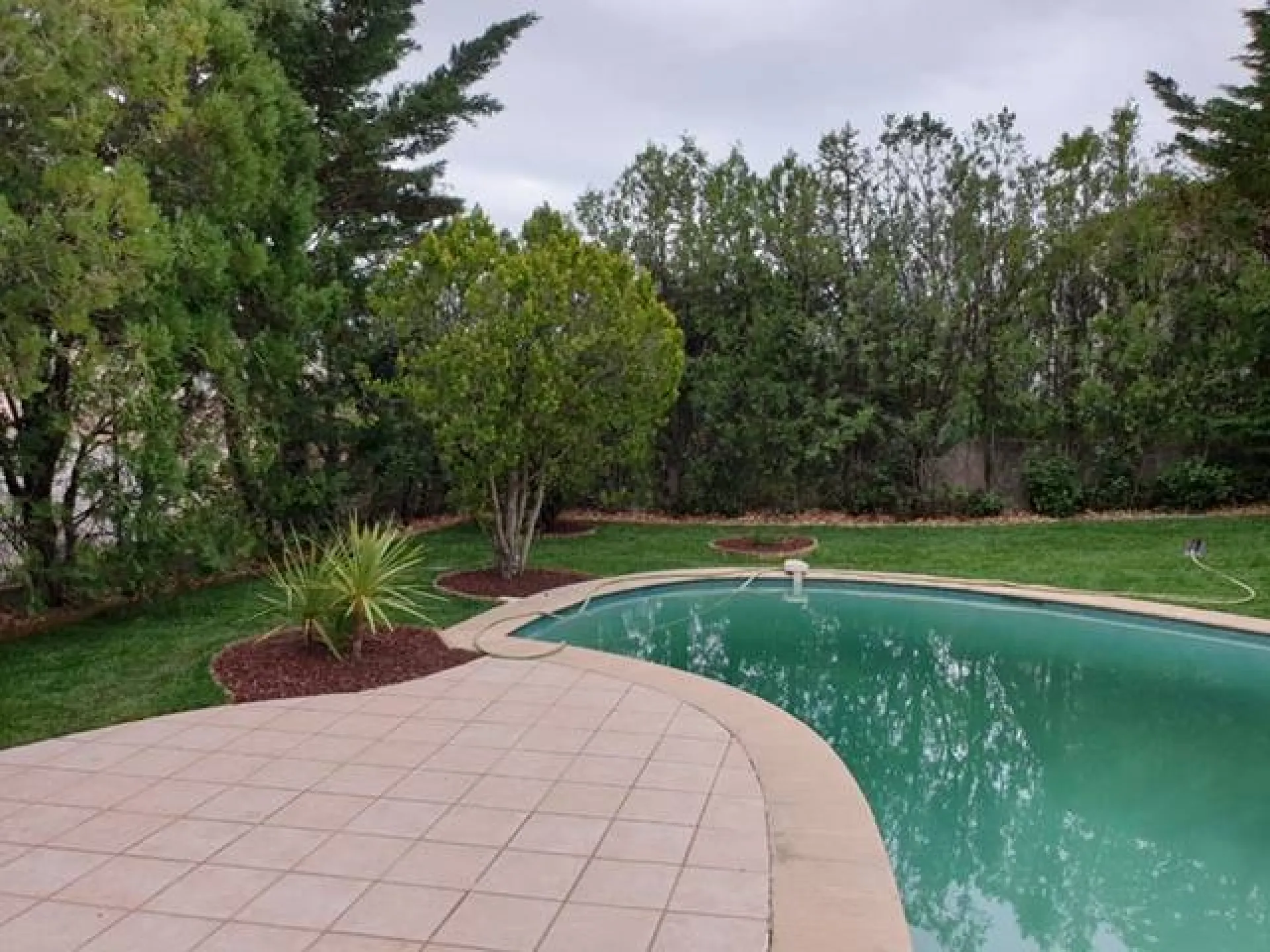 Tour de piscine en gazon en plaque