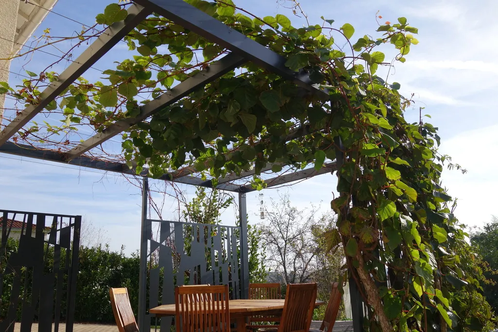 Les meilleures plantes grimpantes pour vos pergolas et treillis