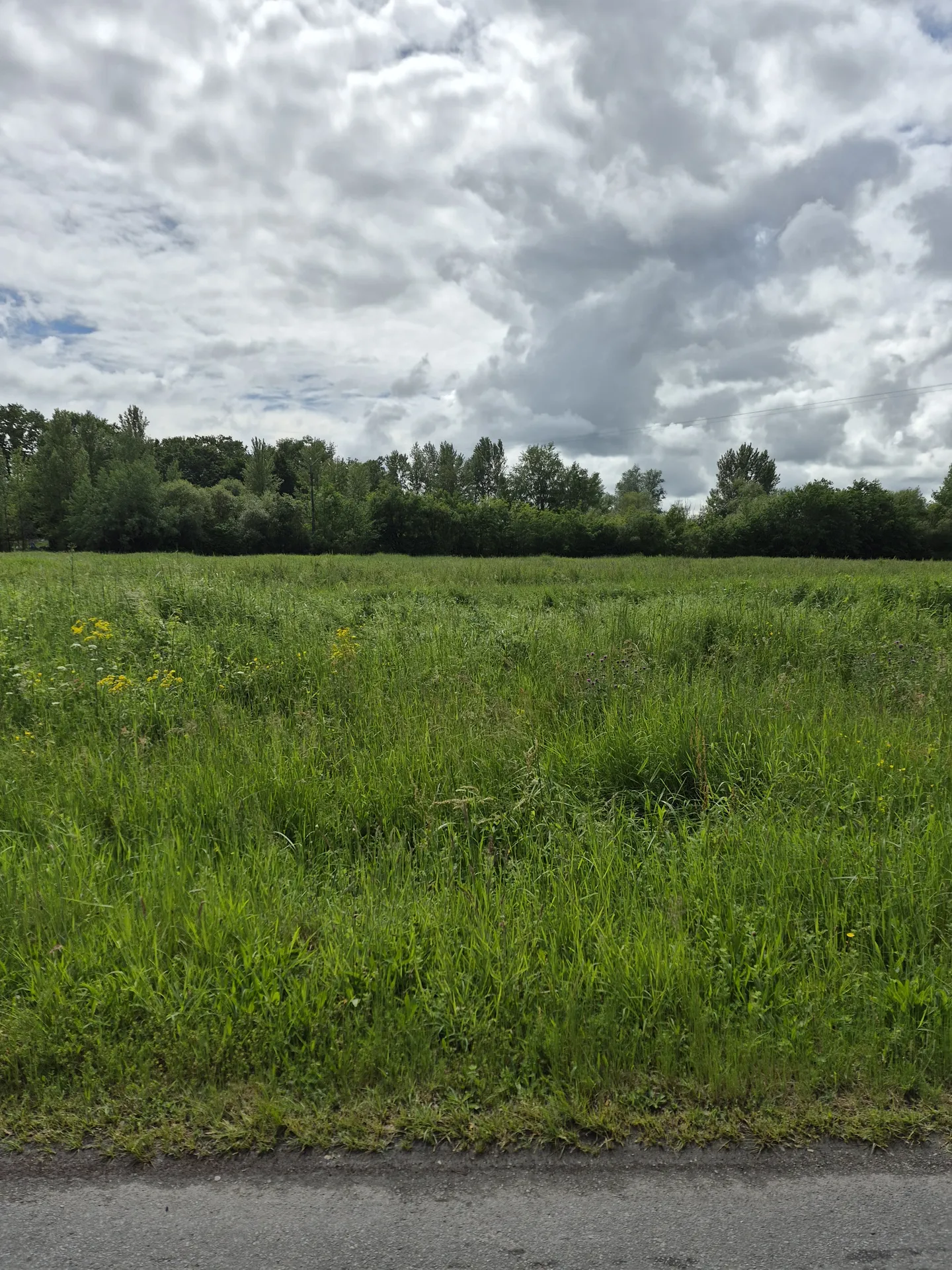 Terrain à vendre d'une surface de 2027 m² sur Montpon Ménestérol dans un cadre verdoyant et paisible