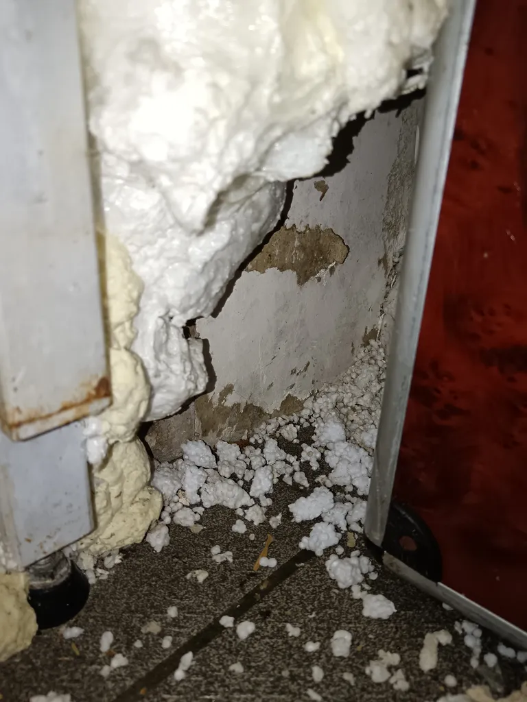 Problème de souris grise et désourisation dans la cuisine d’un logement situé à Villeurbanne dans l’agglomération Lyonnaise
