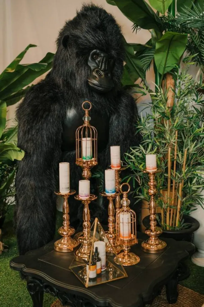 Shootings promotionnels avec une direction artistique professionnelle dans le Grand Sud-Ouest entre Bordeaux et Périgueux