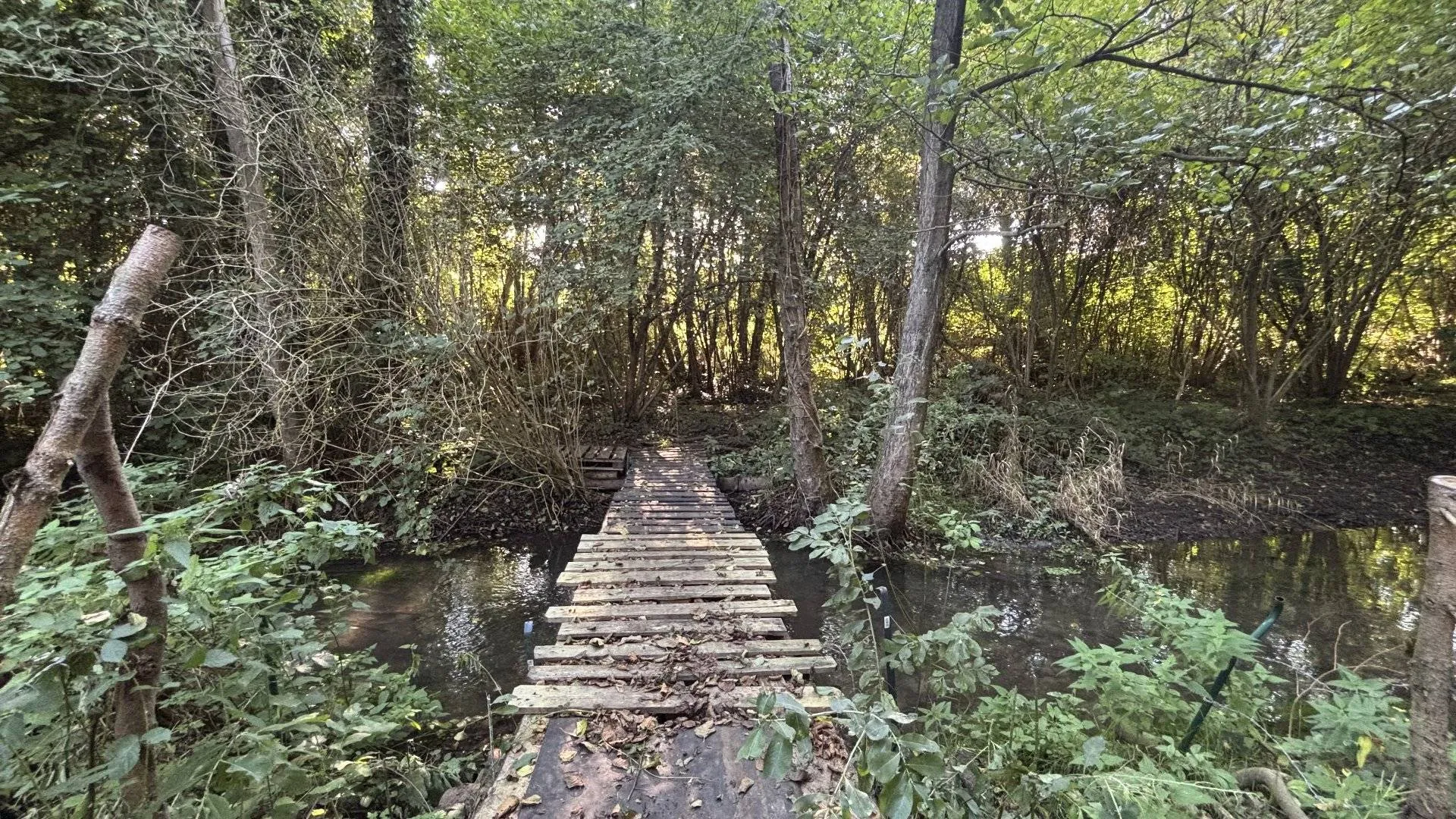 Achat terrain avec bâtiments