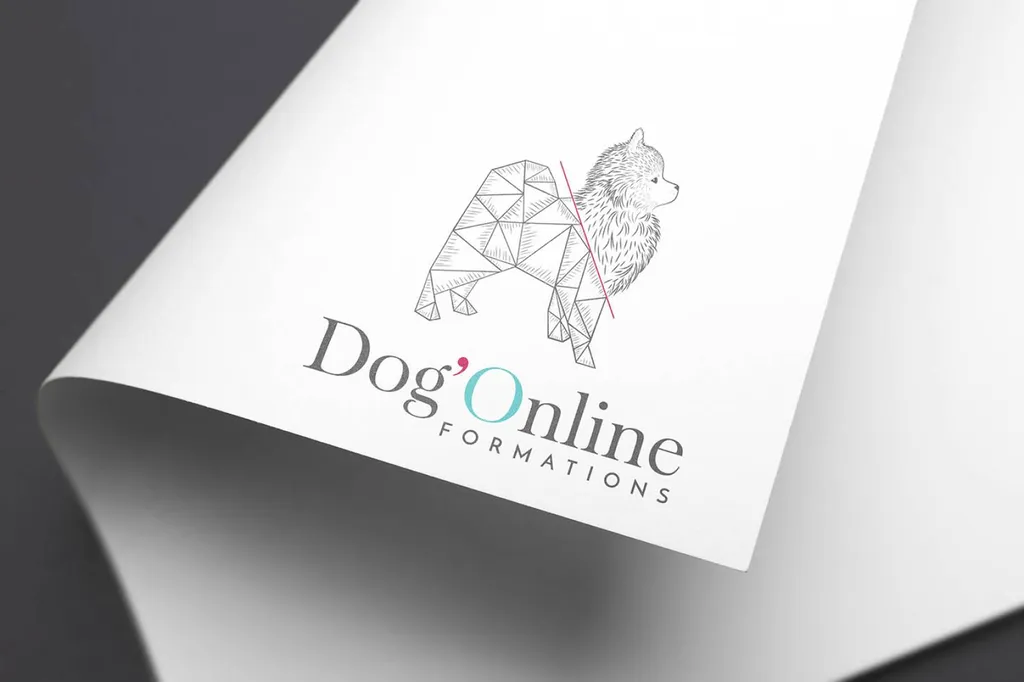 logo graphiste tout budget