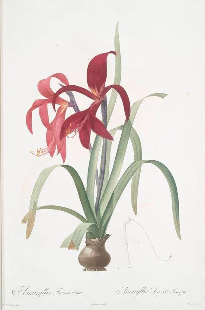 Faire une psychothérapie quand on a une hépatite proche du quartier du Marais Paris 75