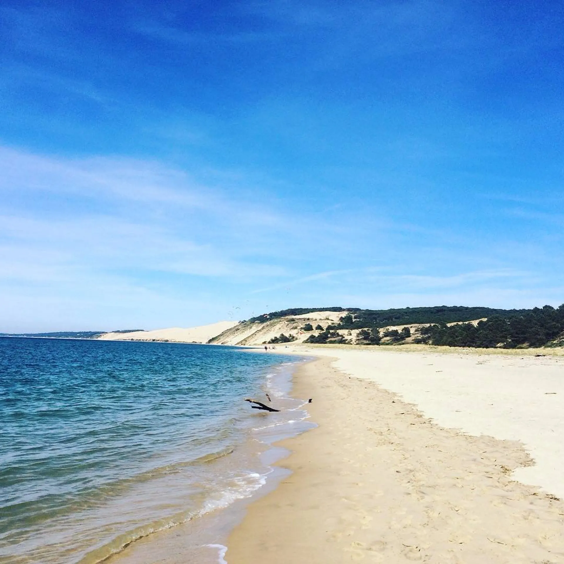 Croisière du le bassin d'Arcachon en pinasse privatisée 