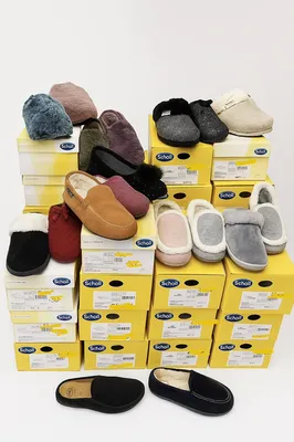 SCHOLL hiver 2025/2026