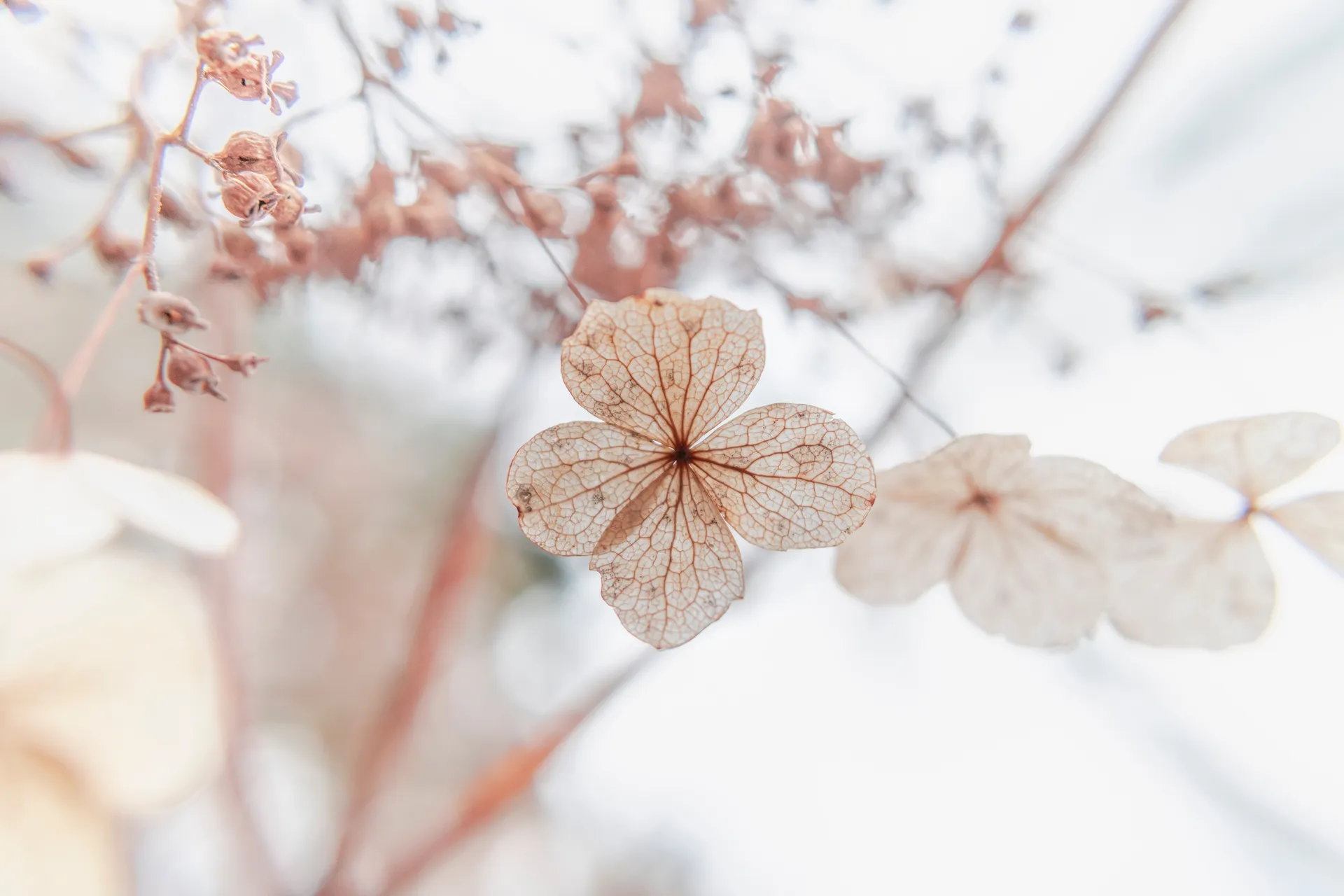 Faire une thérapie courte Paris 18