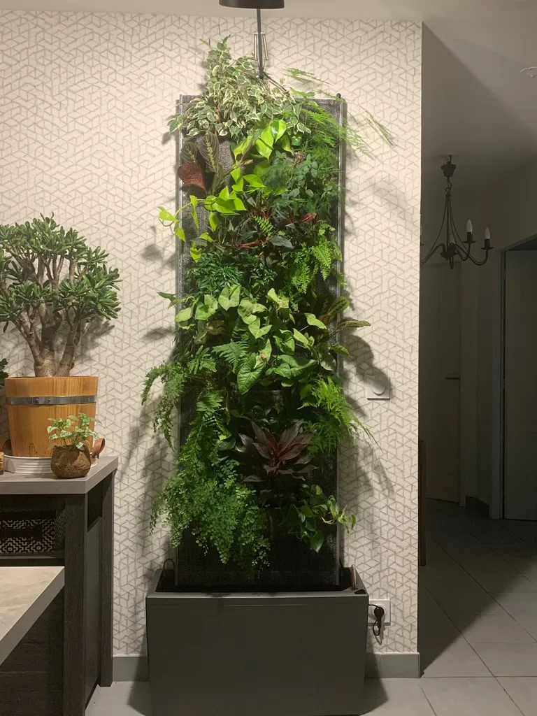 Comment créer d’un mur végétalisé d'intérieur