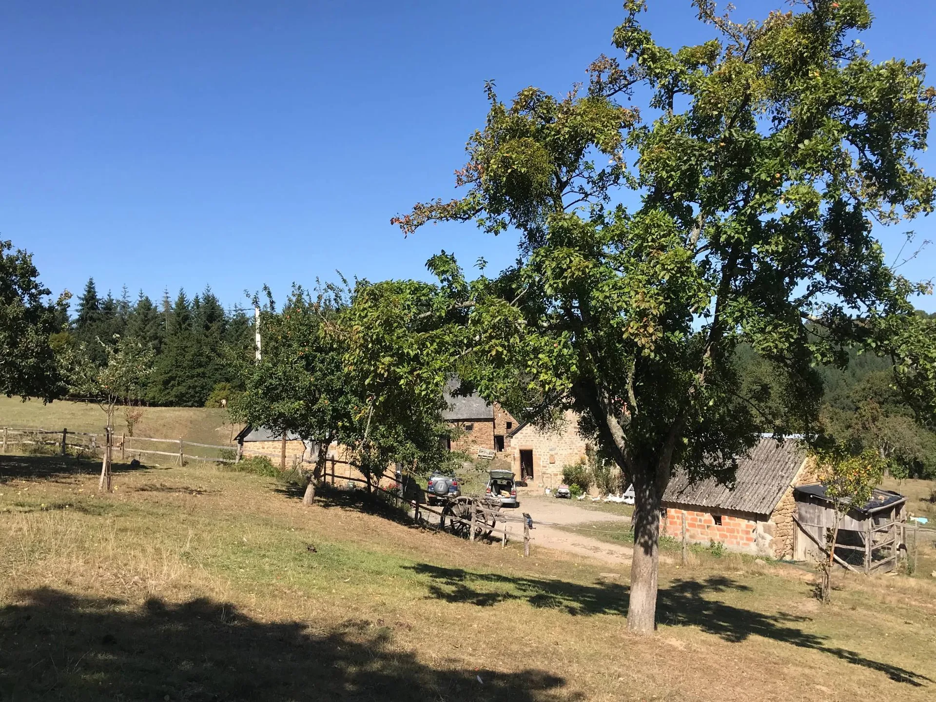 Ferme traditionnelle, 25 hectares, ORNE 61