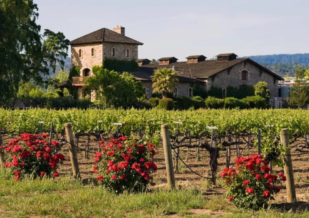  Le mariage de vos rêves entouré de vignes dans un chai au coeur du Sud Ouest proche de Bordeaux