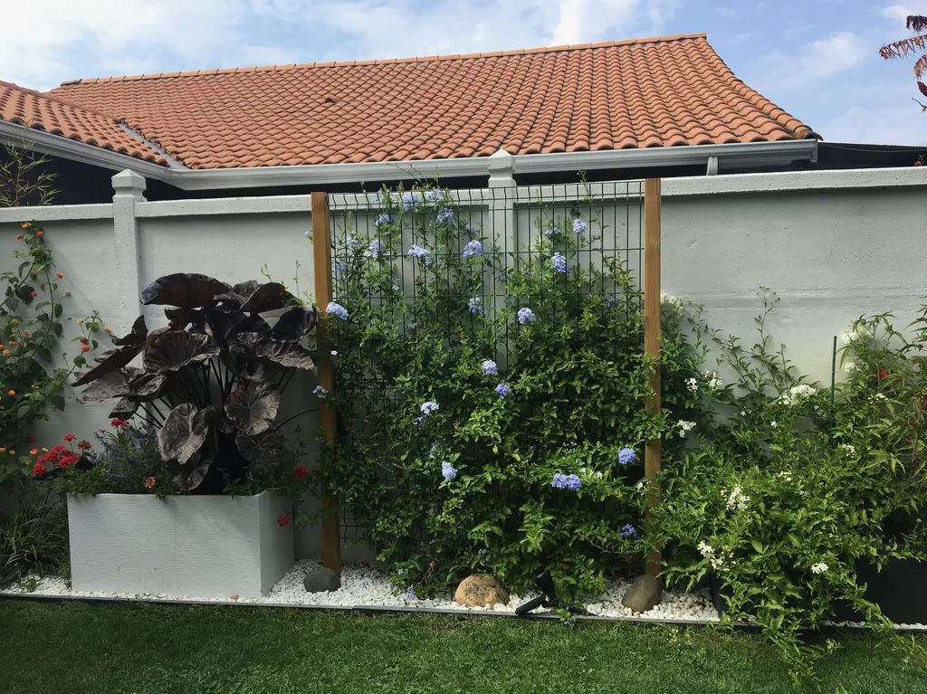 Réaménagement de plate-bande avec jardinières, bordures en ardoise et plantes vivaces à Sanguinet dans les Landes