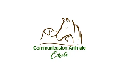 Apprendre à communiquer avec les animaux grâce à la formation sur la communication animale reconnue à Lyon